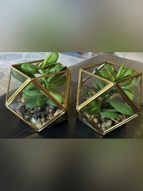 Opal House Gold Geometric Glass Terrarium Pair with Green Faux Succulents.